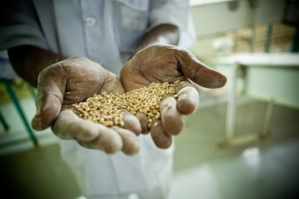 Milling equipment