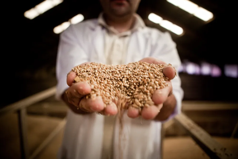 Existing Milling Project Extension
