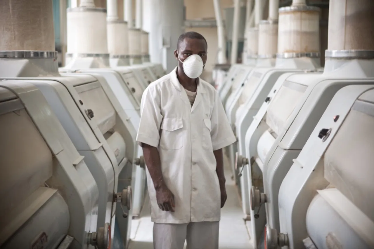 Grains Milling Project