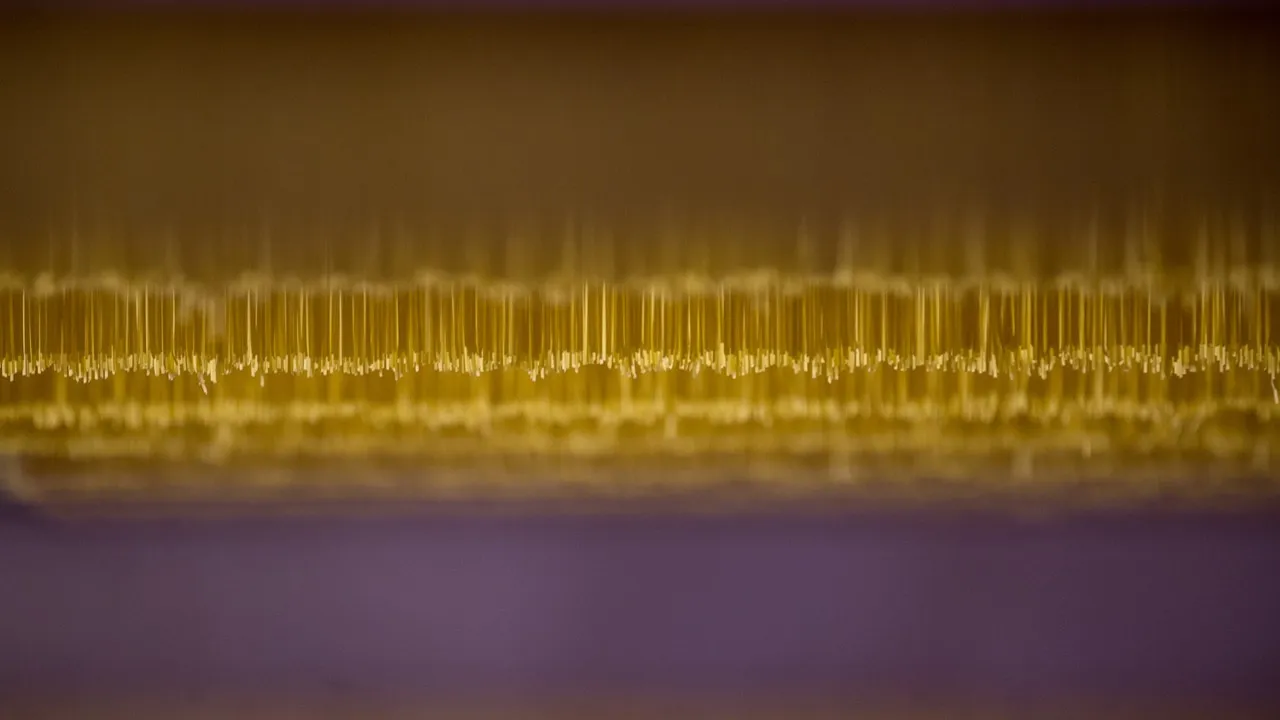 New Short & Long Pasta Factory — project photograph 5