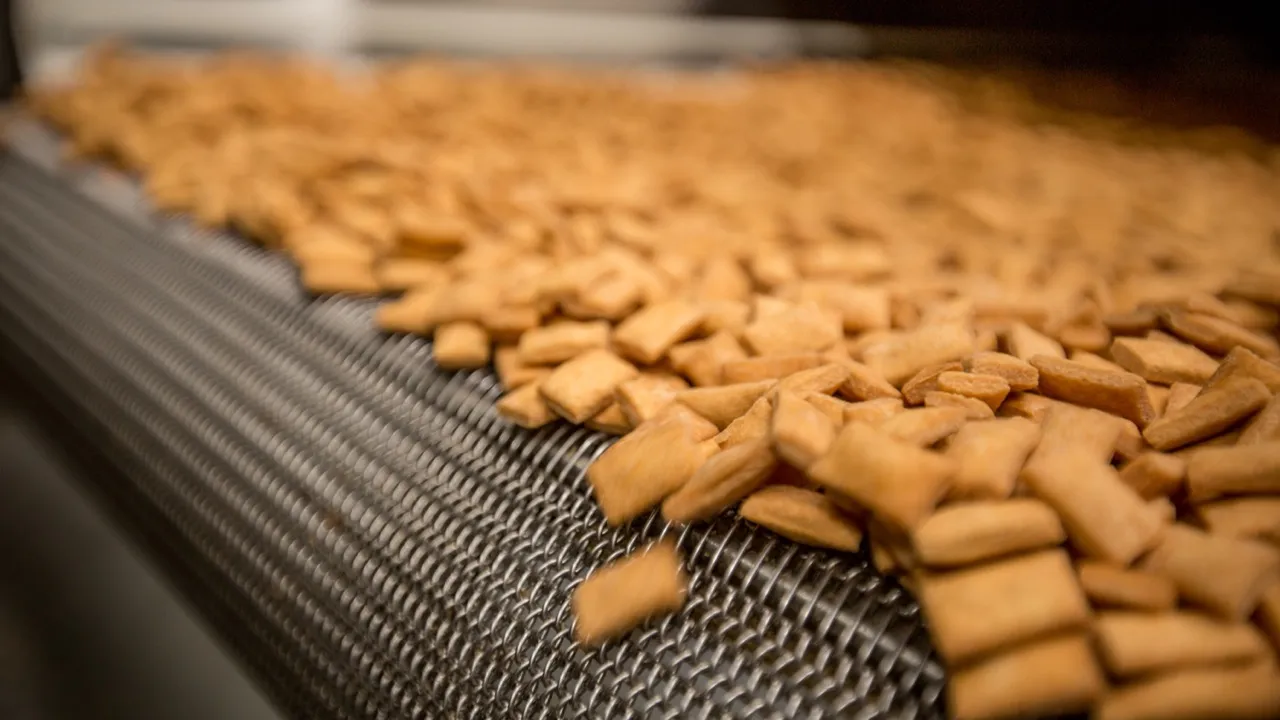 New Snacks Factory — project photograph 3