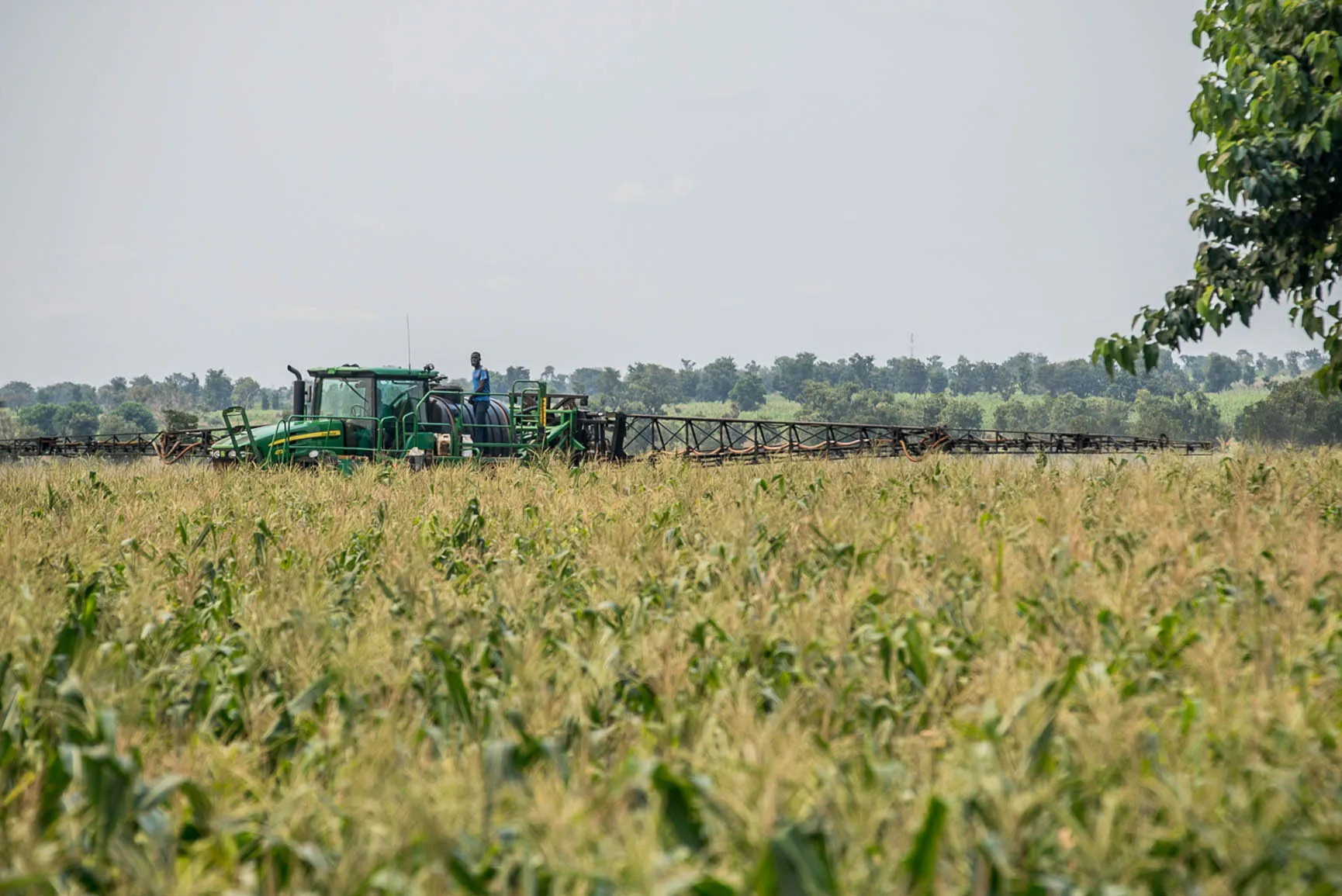 Farm Development & Expandable Sugar Cane Crushing Plant — project photograph 2