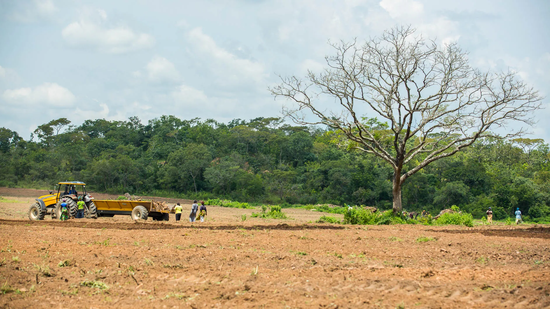 Farm Development & Expandable Sugar Cane Crushing Plant — project photograph 4
